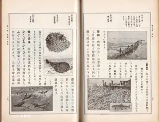 改定史籍集覧 第１冊/臨川書店/近藤瓶城（単行本） 改定史籍集覧(近藤瓶城 編) / 稲野書店 / 古本、中古本、古書籍